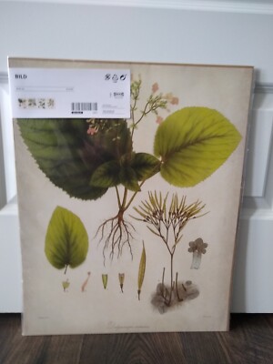 Pack of 4 - Ikea BILD Poster Picture 16 ¼ x 20'' Flowers & Leaves (No Frame) NEW