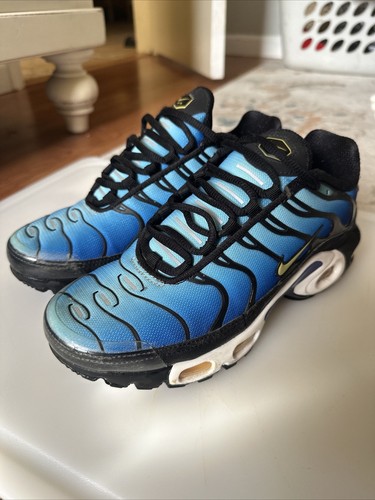 NIKE Air Max Plus アクアブルー　26.5 Nike Air Max plus アクア aqua 26.5 - メルカリ