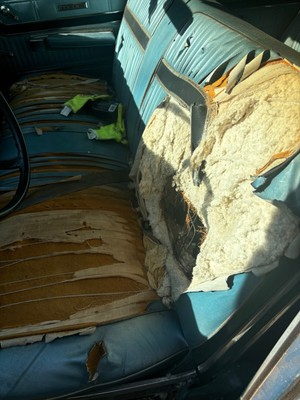image 12 of interior