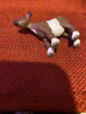 Foto dell'oggetto di un acquirente verificato