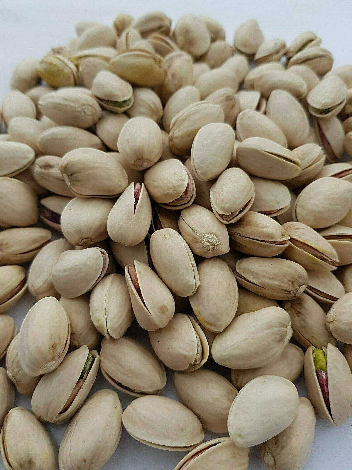  Pistazien leicht gesalzen +geröstet, ungeschält,  vom Erzeuger,  Malaga Spanien