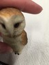 Barn Owl Harmony Ball  Pot Belly