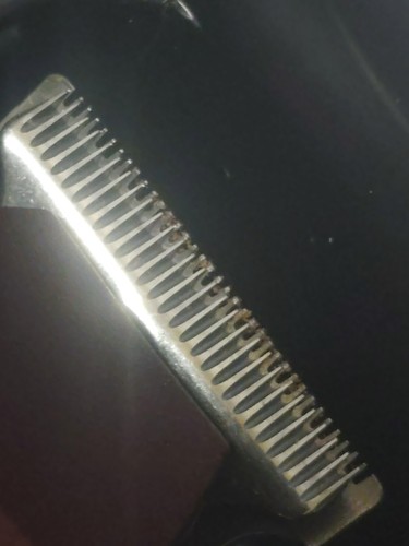 Artikelfoto(s) von einem verifizierten Käufer