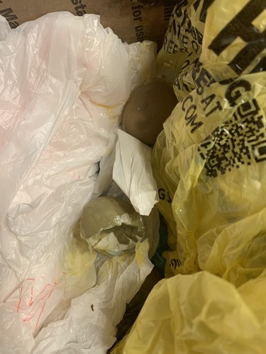 Item photo(s) from verified buyer