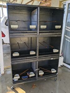 breeding flyline rrp divider cage triple stack double center