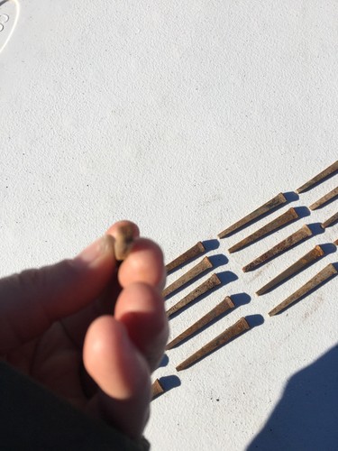 20 Vintage Forged Iron Nails Period Nails Hardware Early Nail