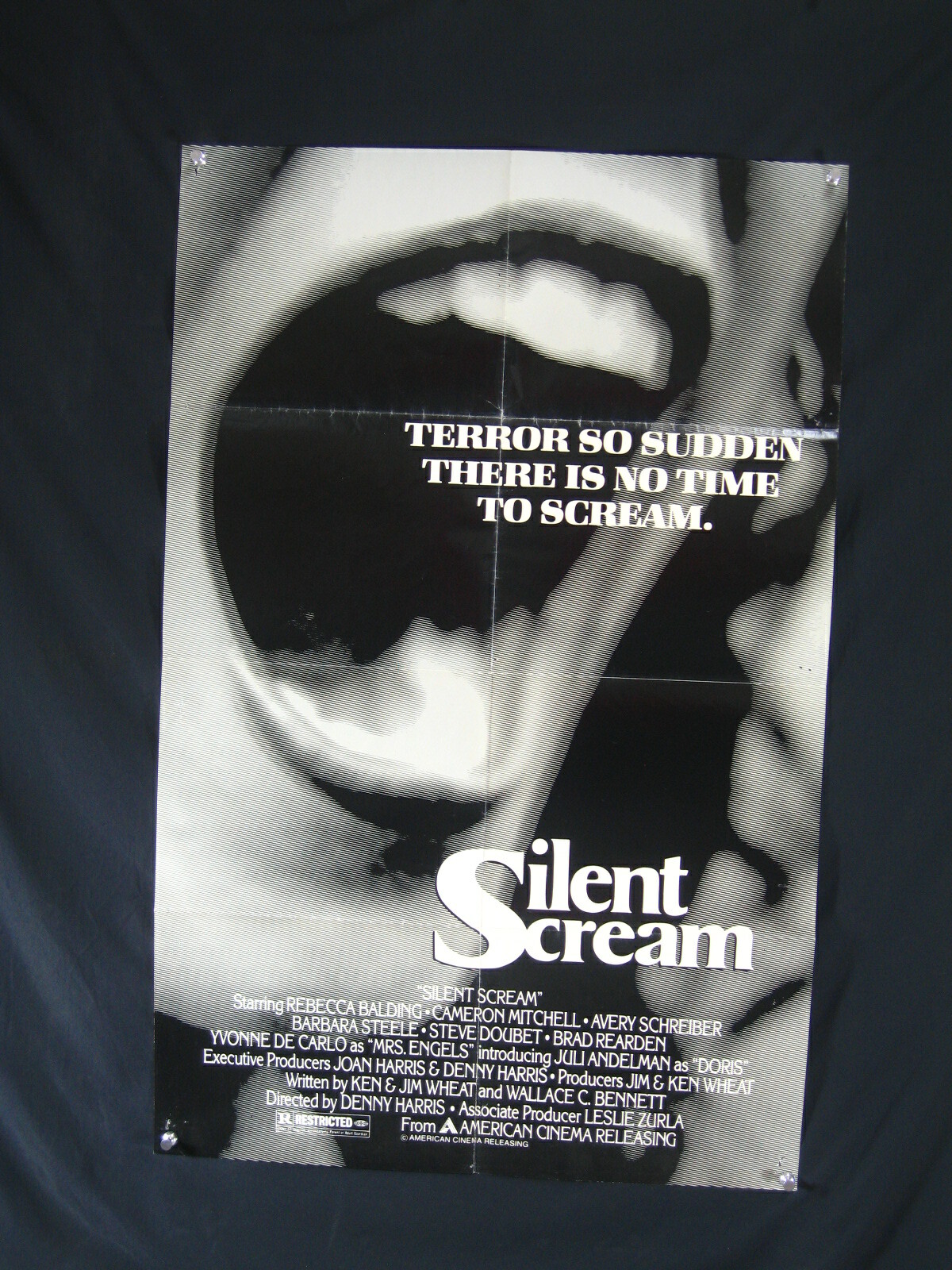 SILENT SCREAM1980ONE SHEETVG/FHORRORREBECCA BALDINGCAMERON