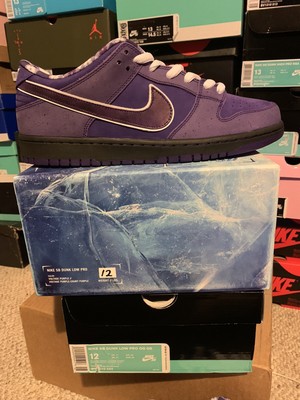 nike sb purple lobster special box
