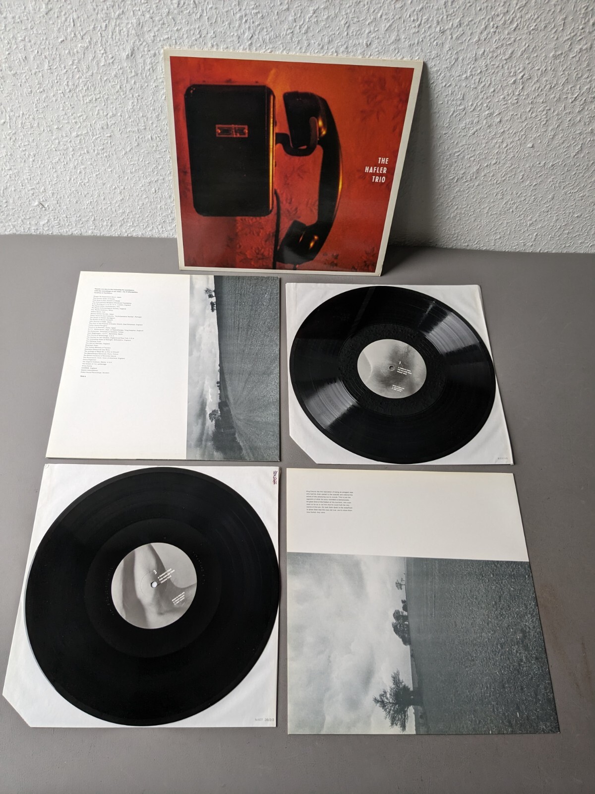 THE HAFLER TRIO ／ A THIRSTY FISH HAFLER TRIO original Vinyl 2LP A Thirsty Fish (1987 Touch