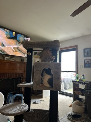 Fotos del artículo de un comprador verificado