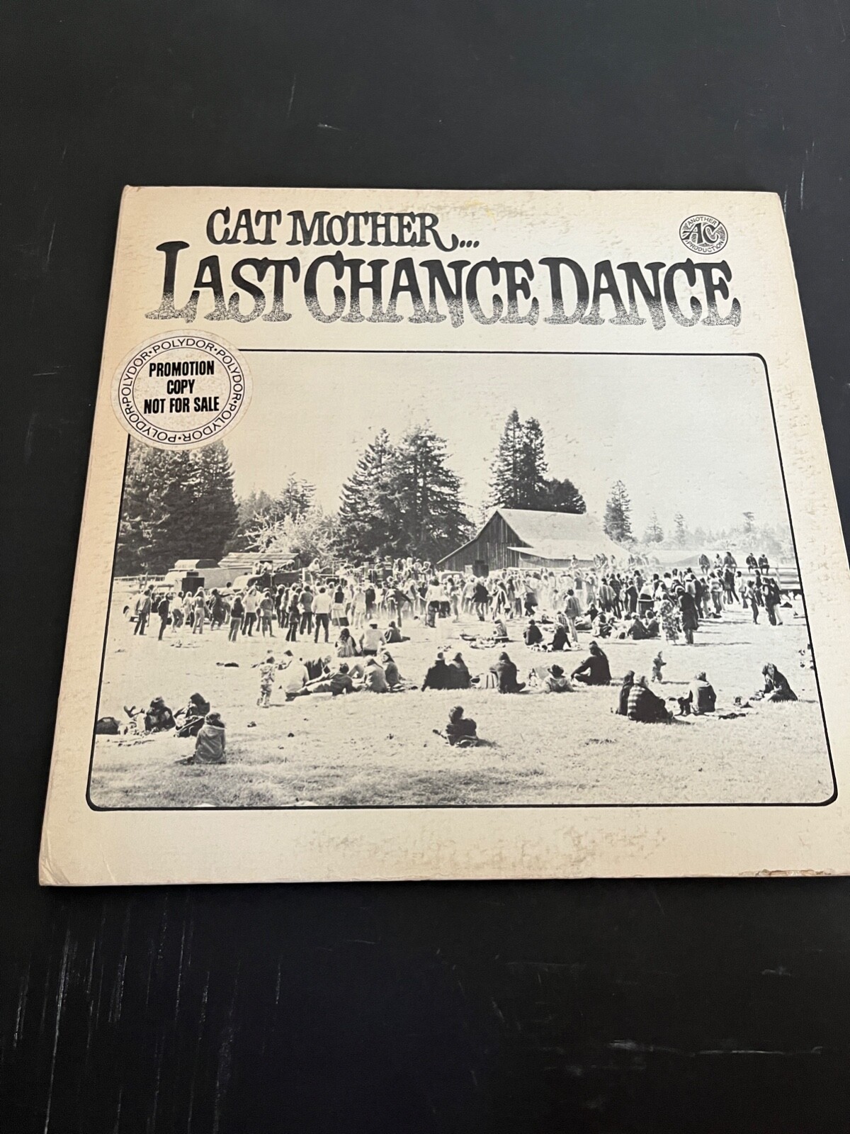 Cat Mother - Last Chance Dance - PD 5042 White Label Promo