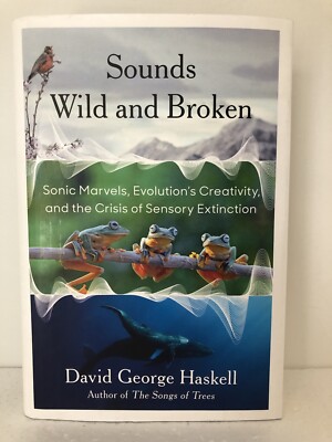 Sounds Wild and Broken