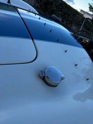 image 19 of exterior