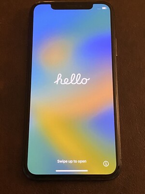 iPhone X