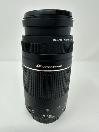 Canon EF 75-300mm f4-5.6 Zoom Lens - Ultrasonic | eBay