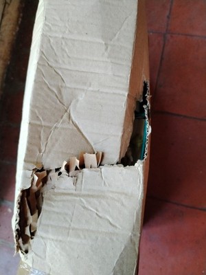 Artikelfoto(s) von einem verifizierten Käufer