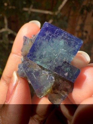 Fluorite - Hidden Forest Pocket, Diana Maria Mine, England FHFP00403