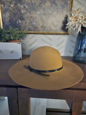 Francesca's 100% Fall Hat Wool Wide Brimmed Floppy NEW Camel Tan 