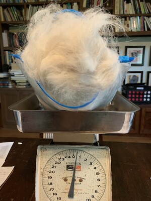Raw Alpaca Fiber Raw 8 Ounces Choice Of White, Brown, Auburn - $12