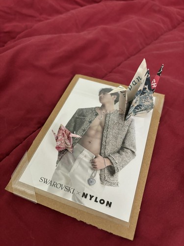 Stray Kids Bang Chan x SWAROVSKI NYLON JAPAN Special