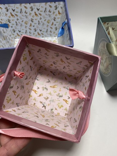 Beatrix Potter, The Tale of Peter Rabbit  3 Nesting Boxes, Nursery, Gift Boxes