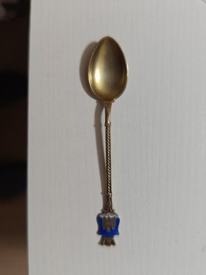 Foto dell'oggetto di un acquirente verificato