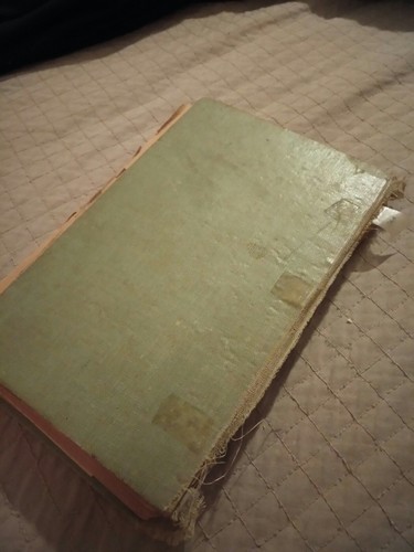 Vintage 1912 Book The Boy Scouts in Camp, needs love