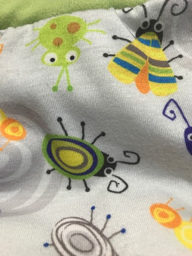 Blueberry Trainer Cloth Pull-Up Large Bugs