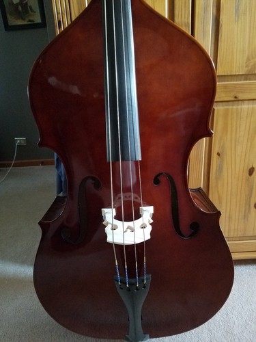 Shen model 80, SB80 3/4 upright bass