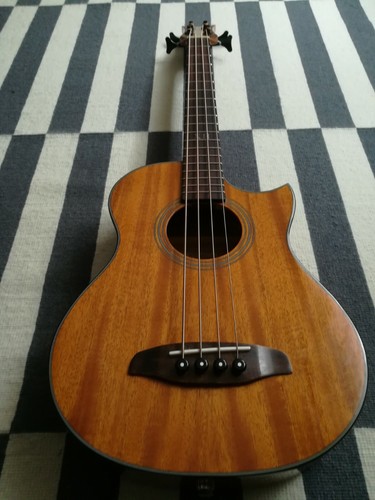 Ortega D-Walker Bass Akustikbass MM