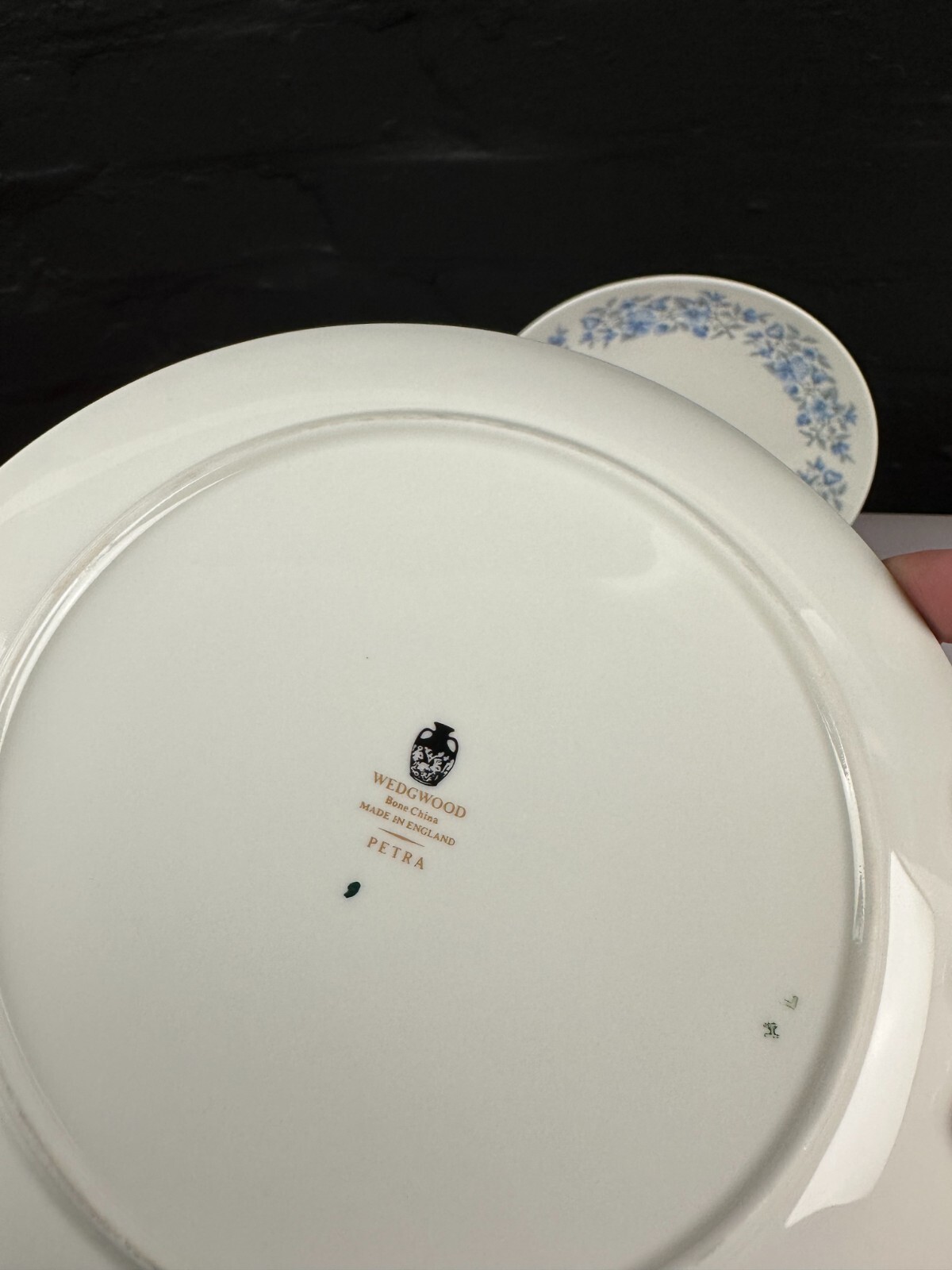 6 x Wedgwood Petra Salad Plates 20.5 cm Wide Set