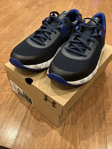 美品　UNDER ARMOUR PROJECT ROCK BSR2 29㎝ UA Project Rock BSR 2 Review | Best BSR Training Shoe Yet?