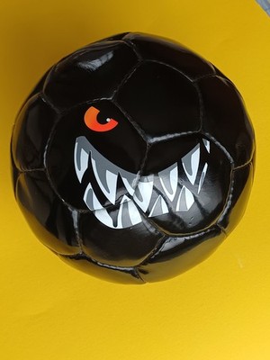 Ballon DIE WILDEN KERLE FUSSBALL Baumhaus Verlag BIEN LIRE ANNONCE, merci