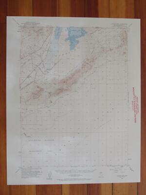 Carson Sink Nevada 1960 Original Vintage USGS Topo Map