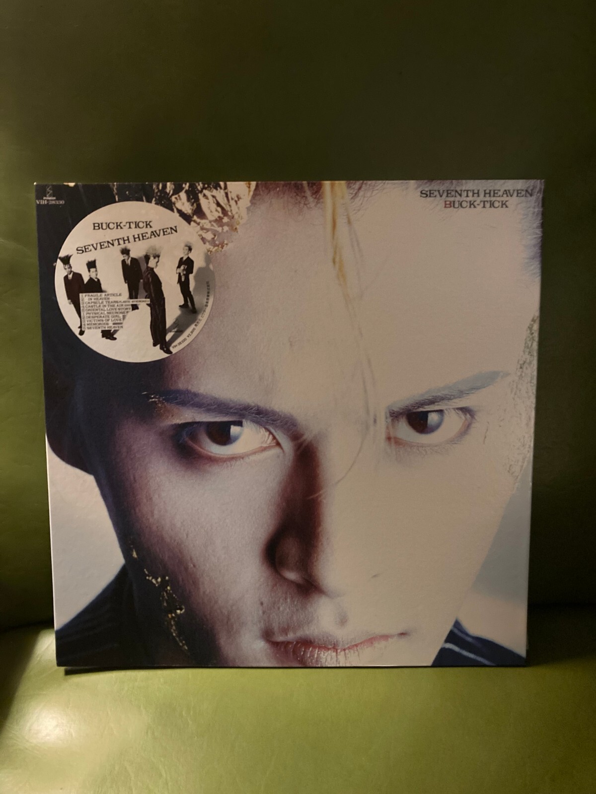 SUGIZO(LUNA SEA) / TRUTH? アナログ盤　レコード　見本品 SUGIZO(LUNA SEA) / TRUTH? アナログ盤 レコード 見本品 SUGIZO LUNA