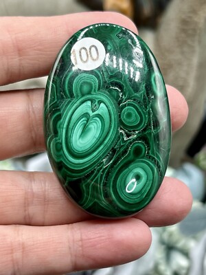 Natural Malachite Palm stone great patterns L@@K Free ship & Gift