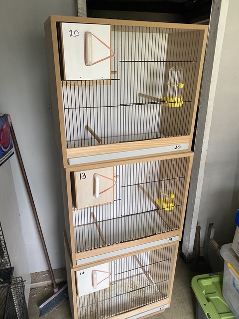 budgie breeding cabinets for sale
