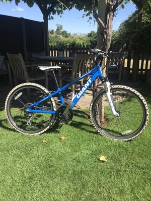 Giant+XTC For Sale