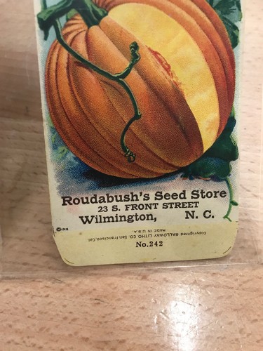 ANTIQUE 1918 PUMPKIN SEED PACKET / ROUDABUSH SEED STORE, N.C.