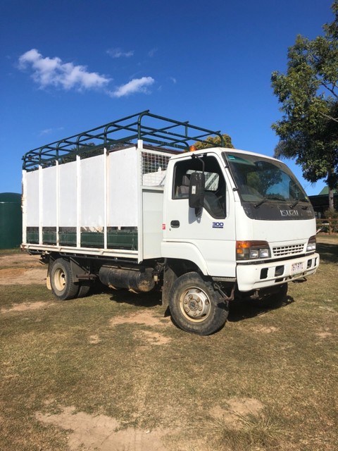 Isuzu nps 300