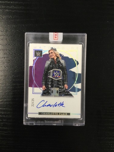 WWE PANINI PAIGE 25シリ　サイン　Tie-Dye　カード WWE PANINI PAIGE 25シリ サイン Tie-Dye カード