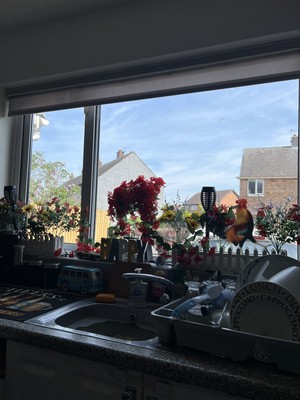 Artikelfoto(s) von einem verifizierten Käufer