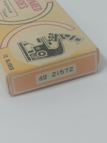 VINTAGE SEARS PREPARED SLIDES BOX Anotomical Tissue of Frog.