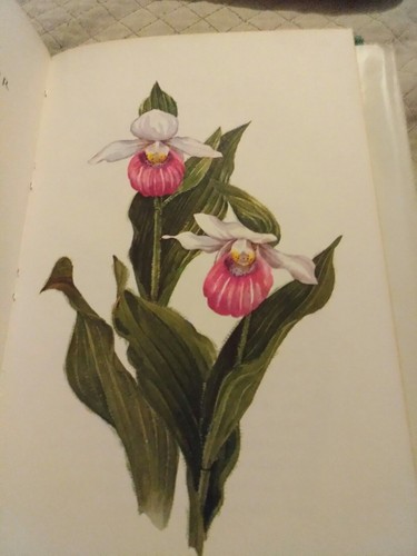 Beautiful Wildflowers, Hallmark Book, 1968