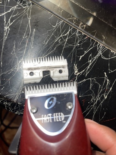 Fotos del artículo de un comprador verificado
