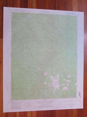 Duckwall Mountain California 1979 Original Vintage USGS Topo Map