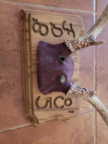 Whitetail Deer Antler 7 Point Horn Man Cave Mount Wood Plaque