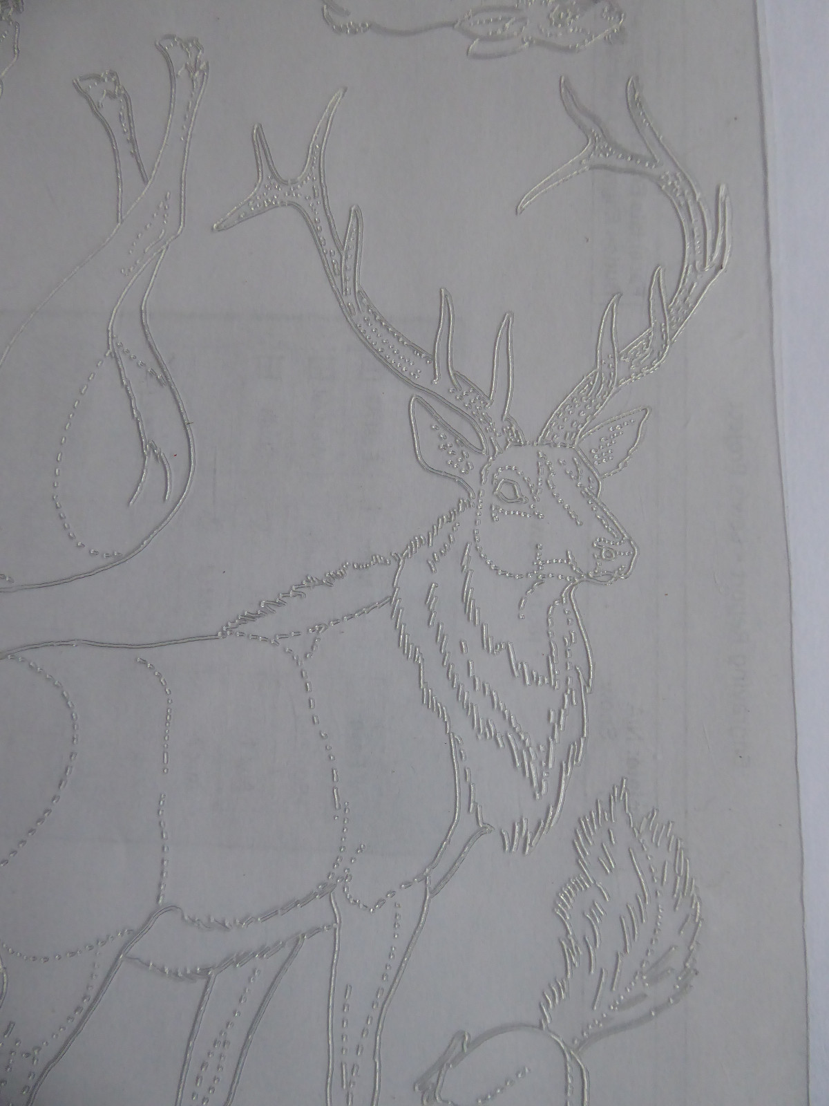 VINTAGE CRAFTOOL WILDLIFE TEMPLATE PAK STK #6008 -6 TEMPLATES OF ANIMALS & BIRDS