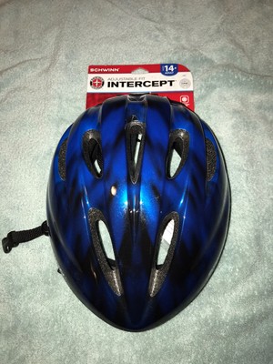 schwinn intercept