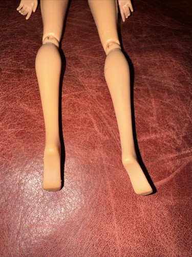 2009~￼BARBIE Doll~Brunette~Fully Articulated Posable Doll